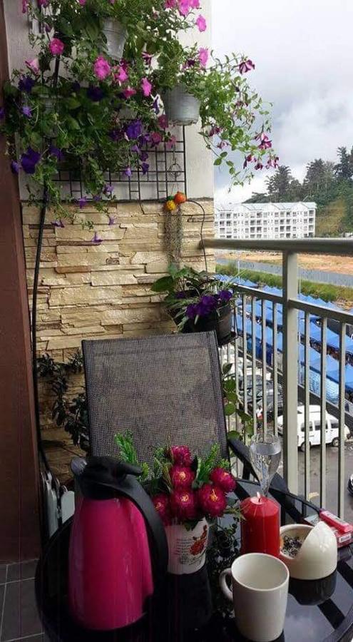 Ghazzis Suite Cameron Highland 카메론하일랜즈 외부 사진
